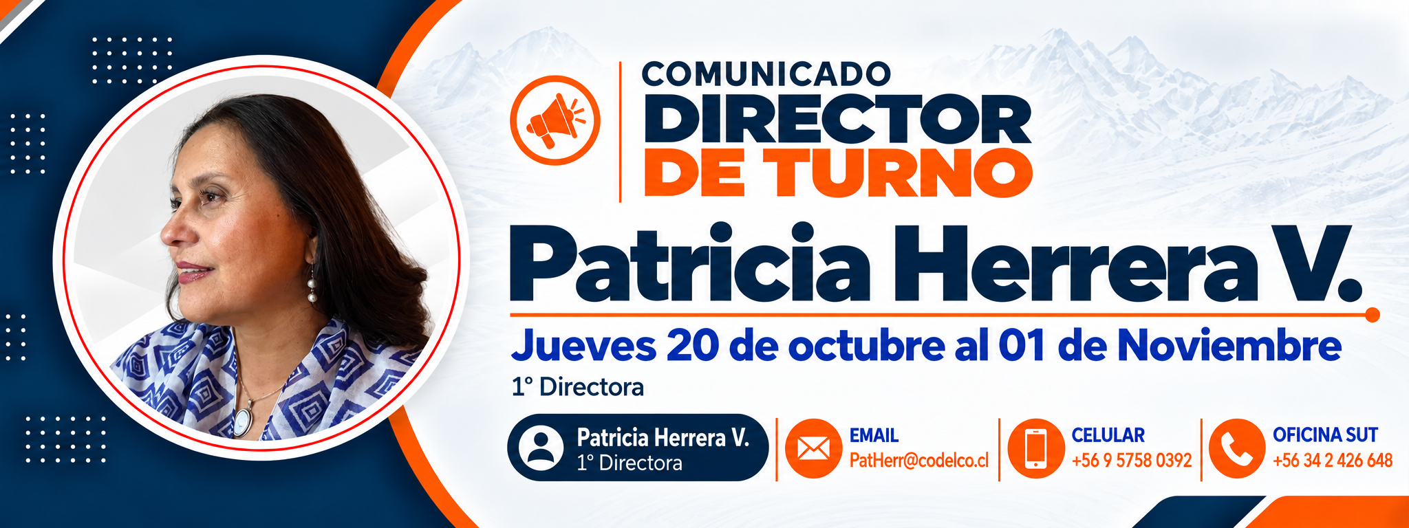 Comunicado Director de Turno Patricia Herrera V